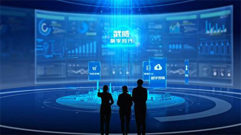 工具推荐类:武威网络公司的优秀案例盘点